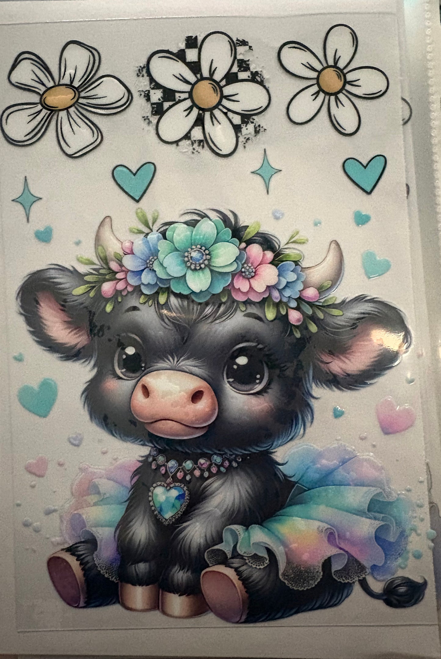 Cows