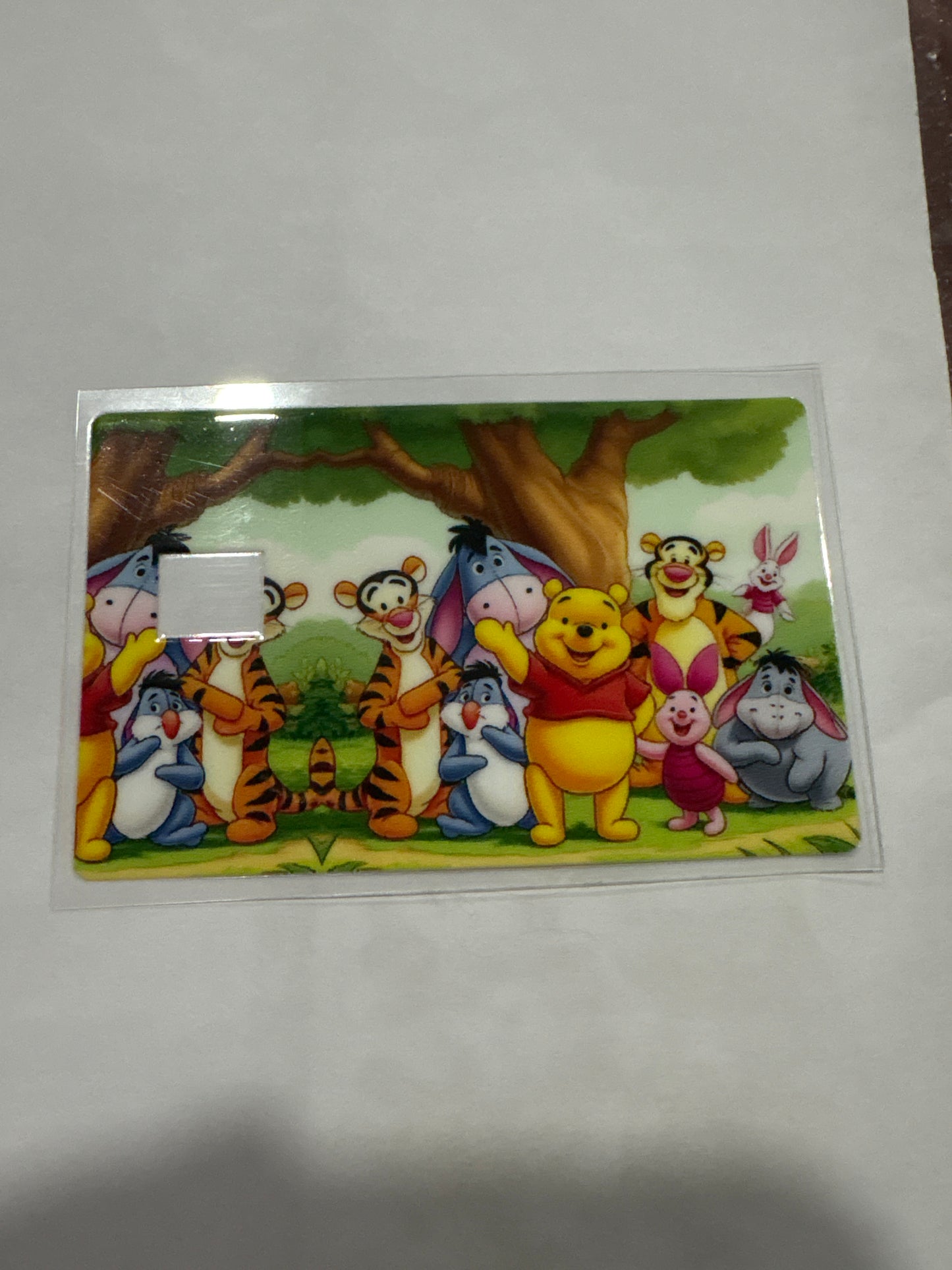 CC Winnie the Pooh