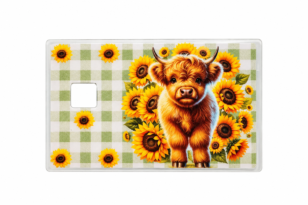 CC Cows