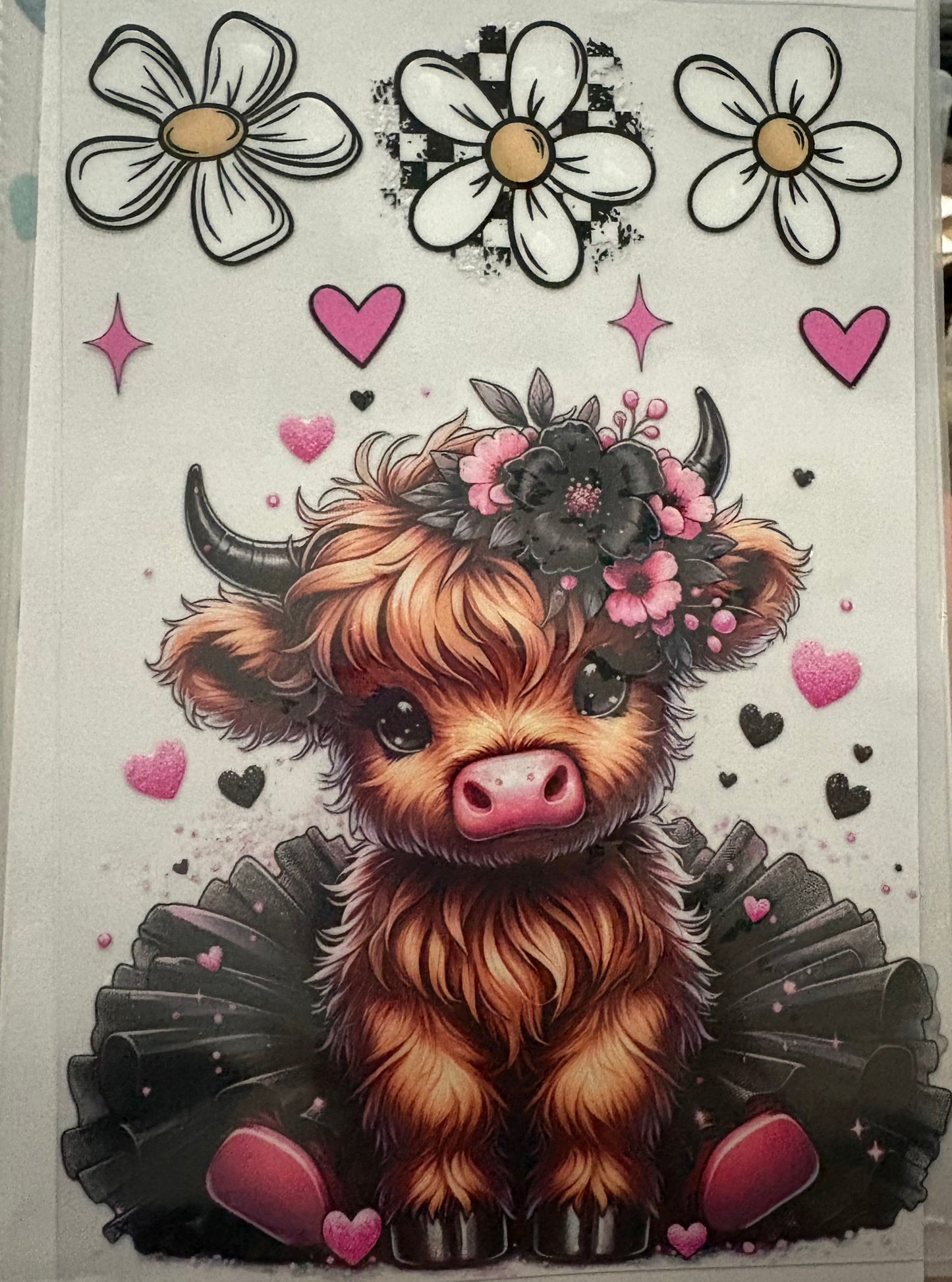 Cows