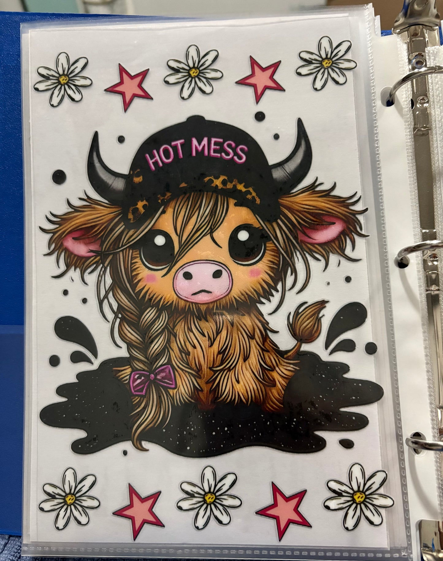 Cows